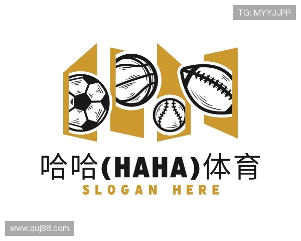 介绍哈哈体育